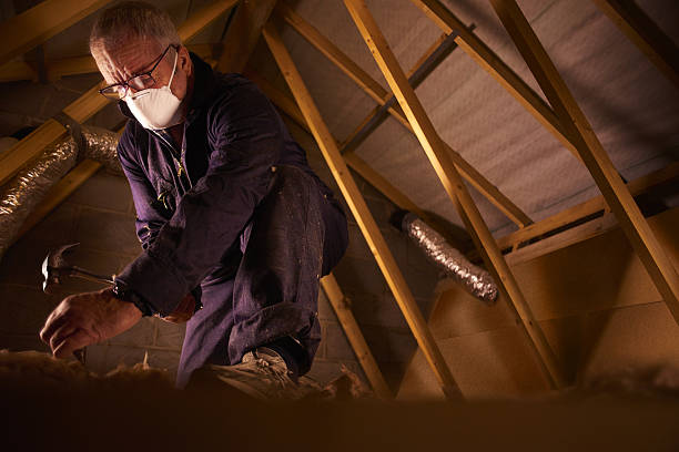 Best Specialized Insulation Services in Midlothian, TX